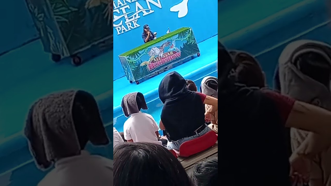 Travel to ocean park (pt8) birds show