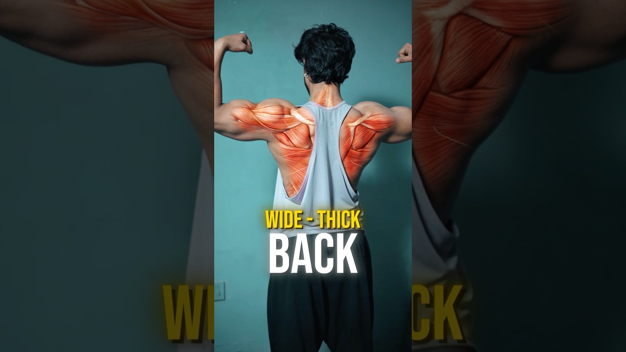 From zero pull-ups to six (the exact progression) 