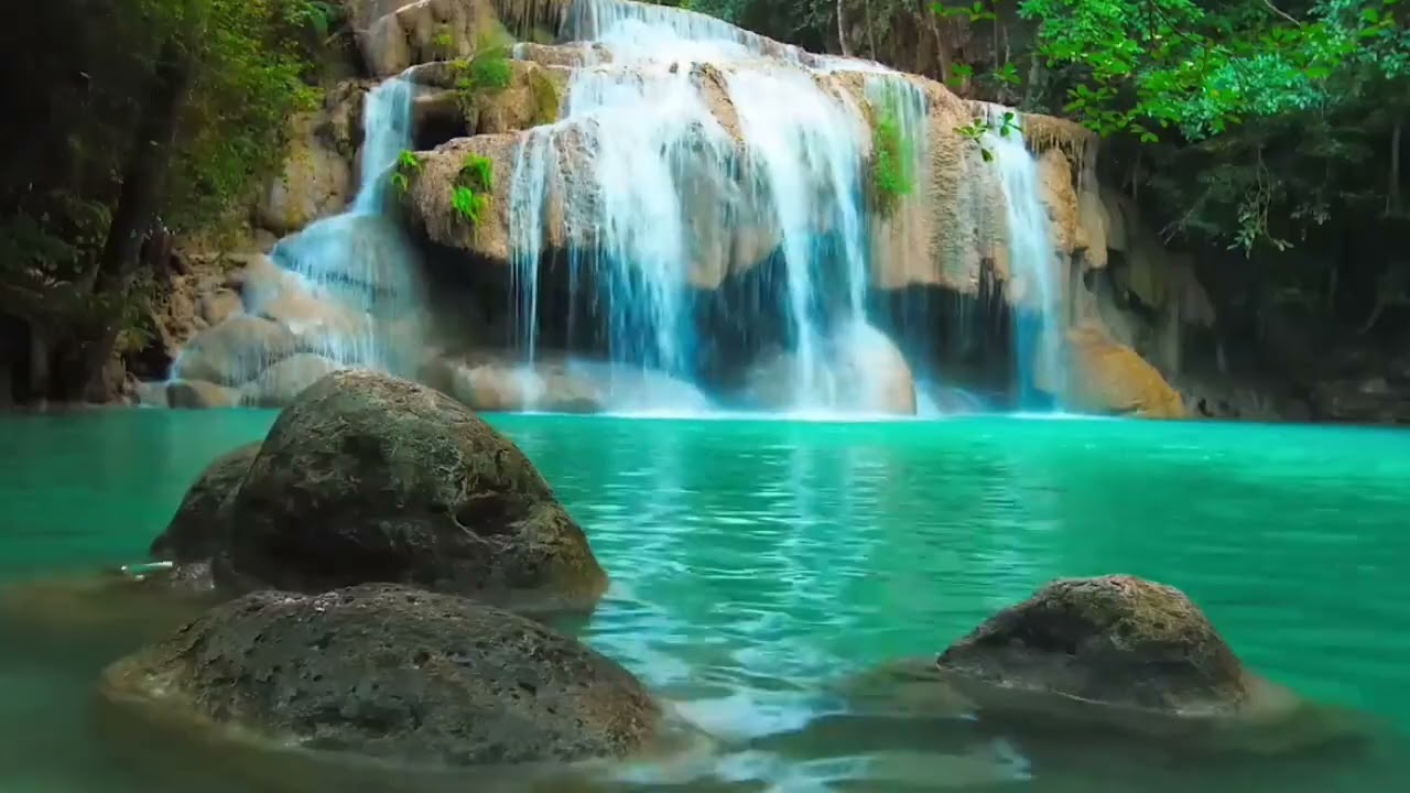 DAN MUSEE - BEST MIX 10 SONGS (OFFICIAL LYRICS VIDEO)