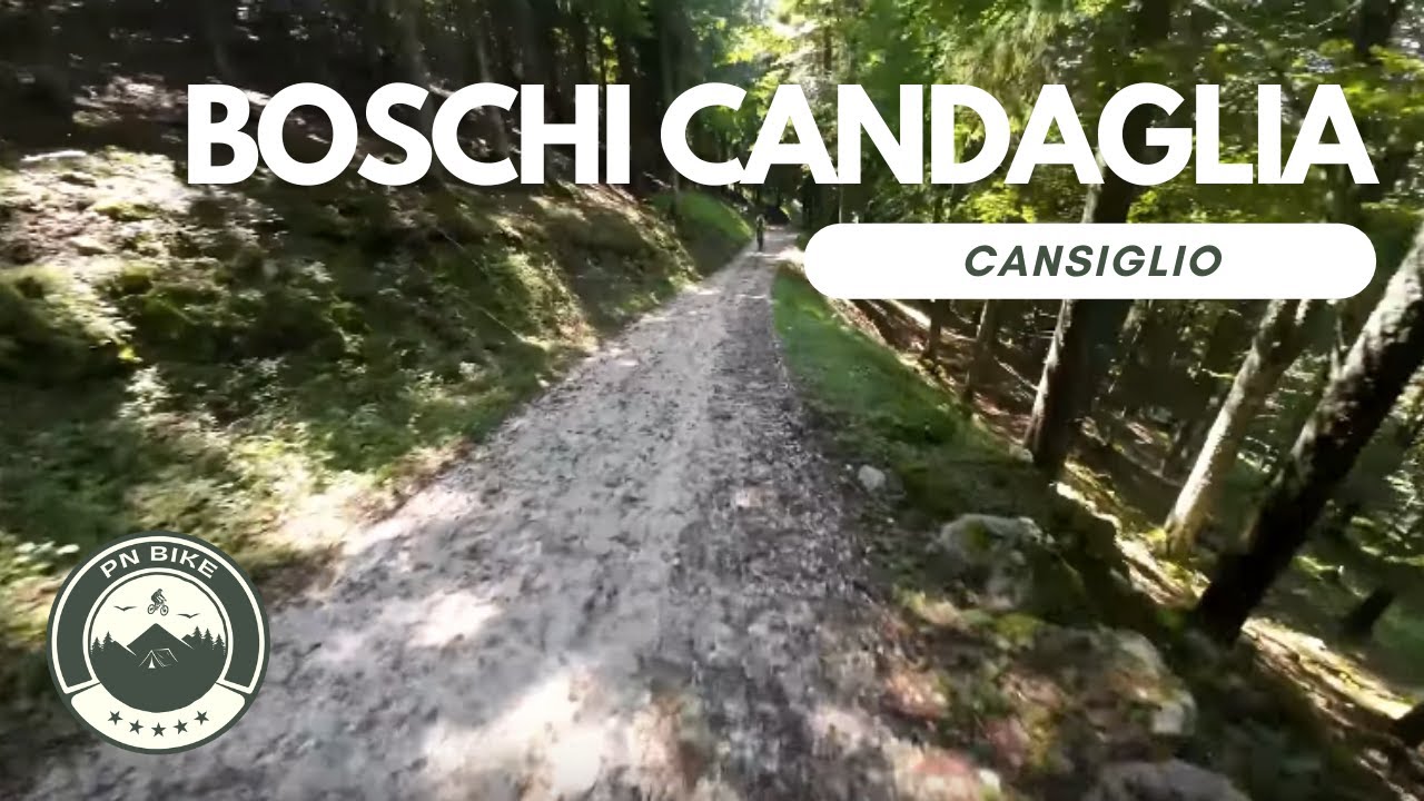 Esplorazione Boschi del Candaglia - Cansiglio - MTB 4K