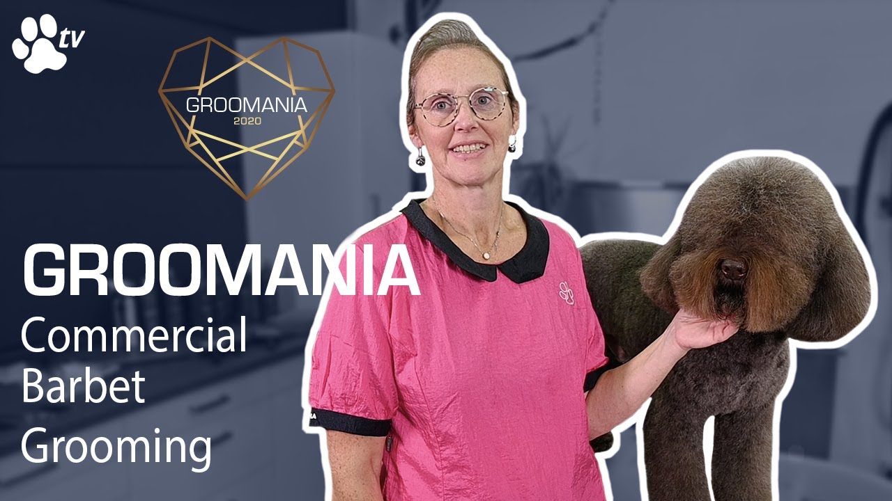 Commercial Barbet Grooming with Patricia Vanbesien | Groomania 2020 Grooming Demonstration