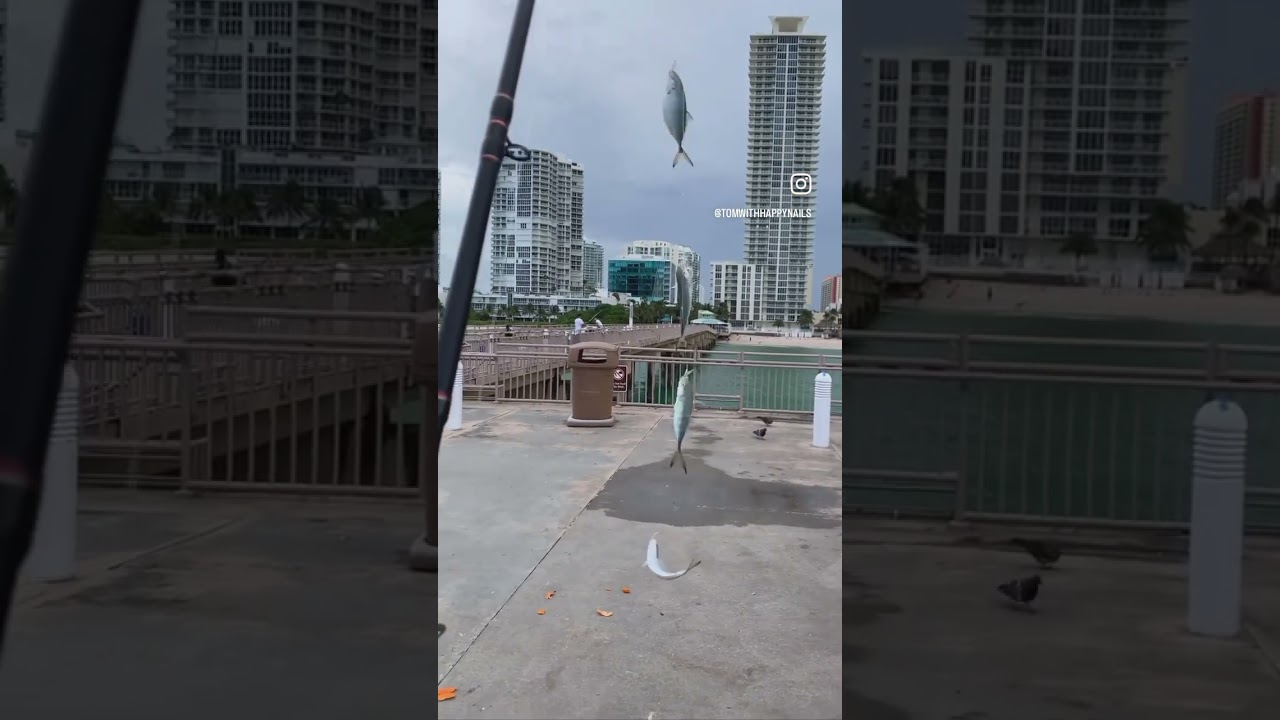 Fishing time . Miami Florida