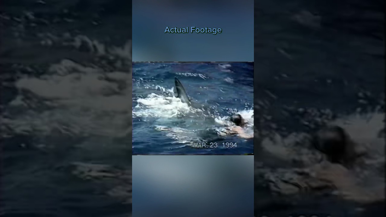 Great White Shark Attack Caught on Camera | Shark Attack Files