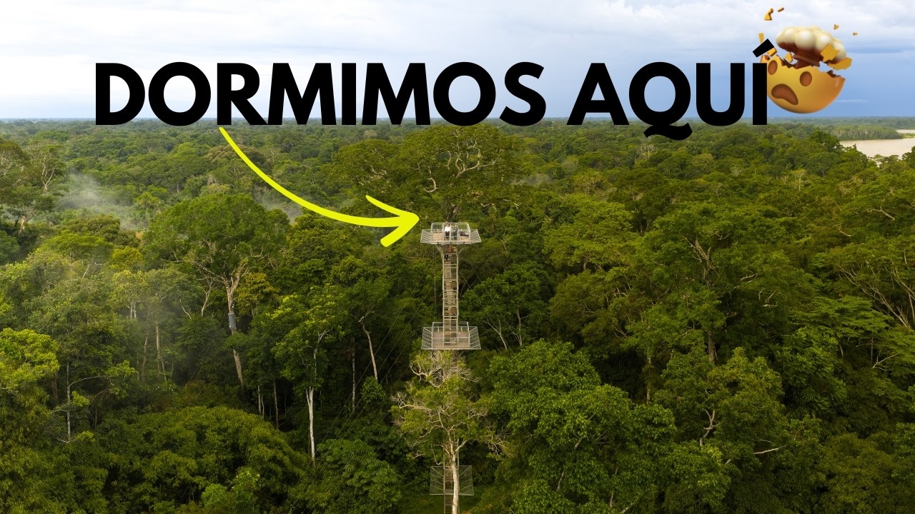 ❗️DORMIMOS EN EL AMAZONAS PERUANO 🐍🕷️🐜