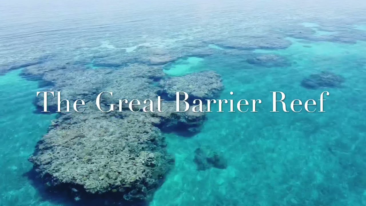 The Great Barrier Reef