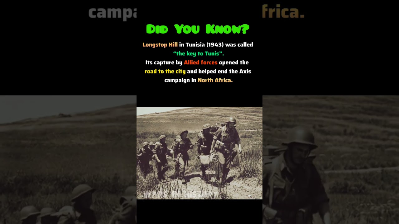 The Hill That Decided North Africa | Battle of Longstop Hill 