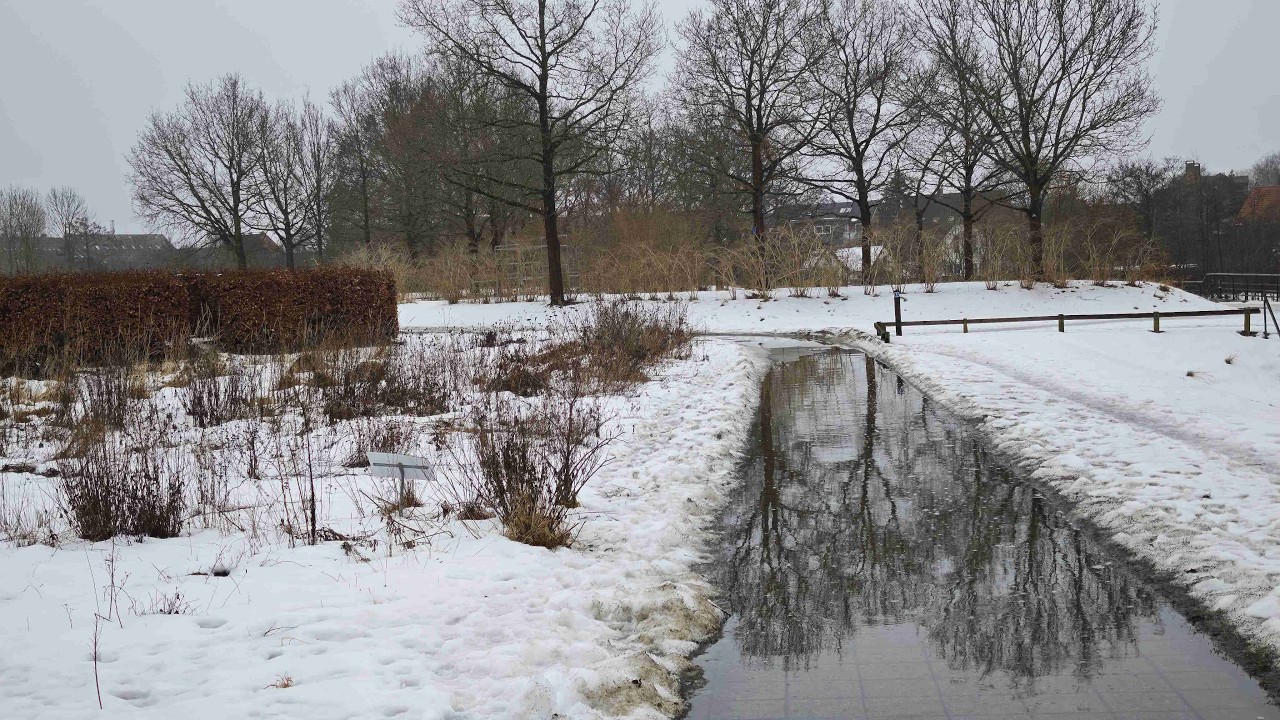 21. februar 2026 Næstved – Den kedsomme vinter gik sin gang