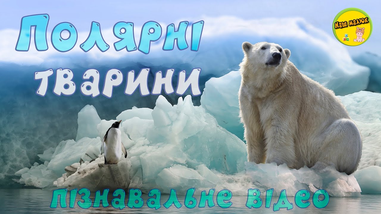 ПОЛЯРНЫЕ ЖИВОТНЫЕ, их звуки и голоса | РАЗВИВАЮЩИЕ ВИДЕО ДЛЯ ДЕТЕЙ