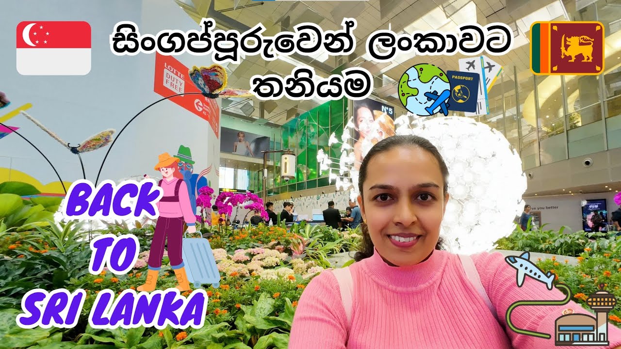 Back to Sri Lanka 🇱🇰 after 1 year  - සිංගප්පූරුවෙන් ලංකාවට තනියම ආපු හැටි