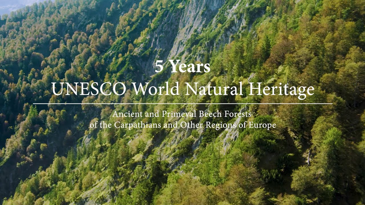 UNESCO World Natural Heritage Beech Forests