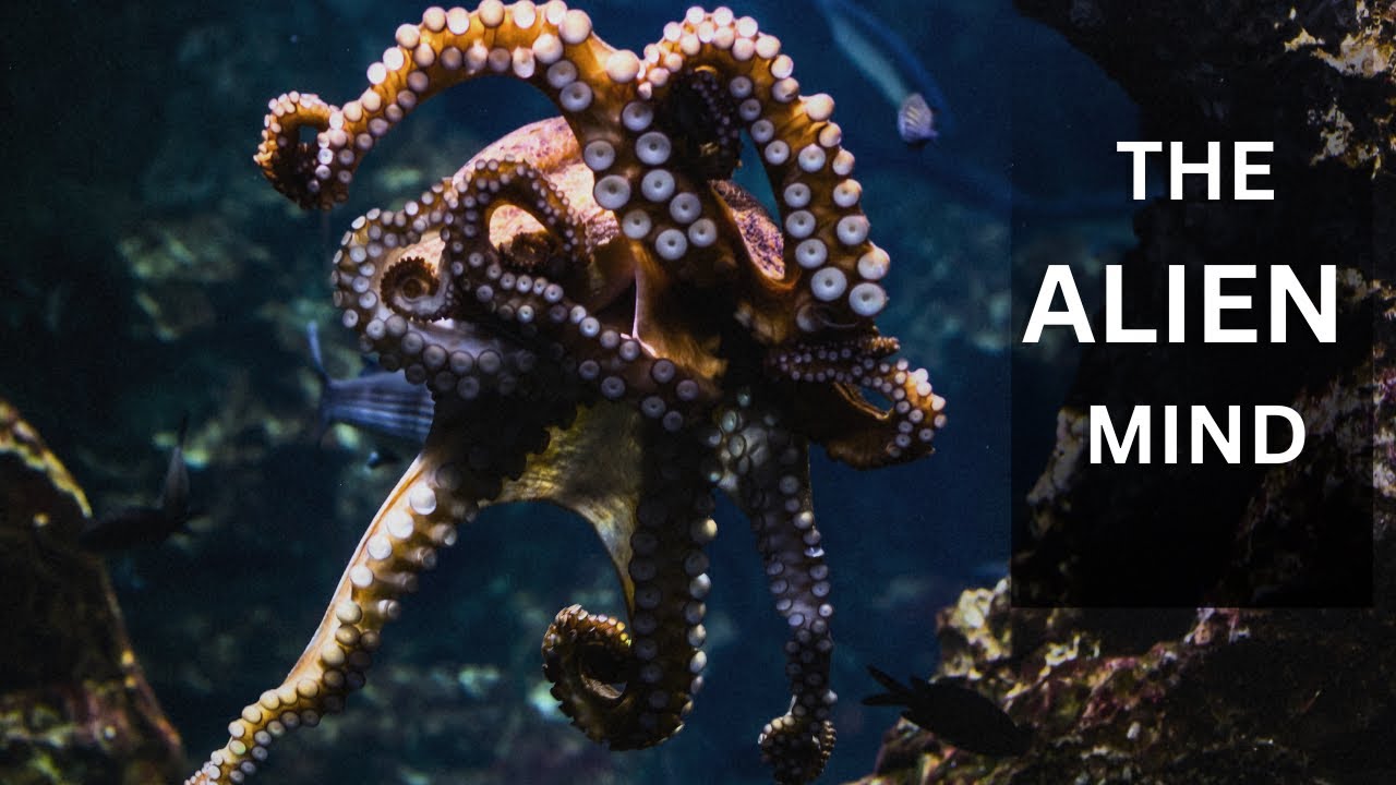 “Why Scientists Say the Octopus Has an Alien Mind”