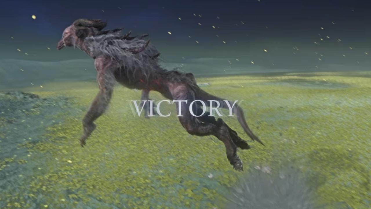 Solo Executor Vs Everdark Gnoster (Deathless)