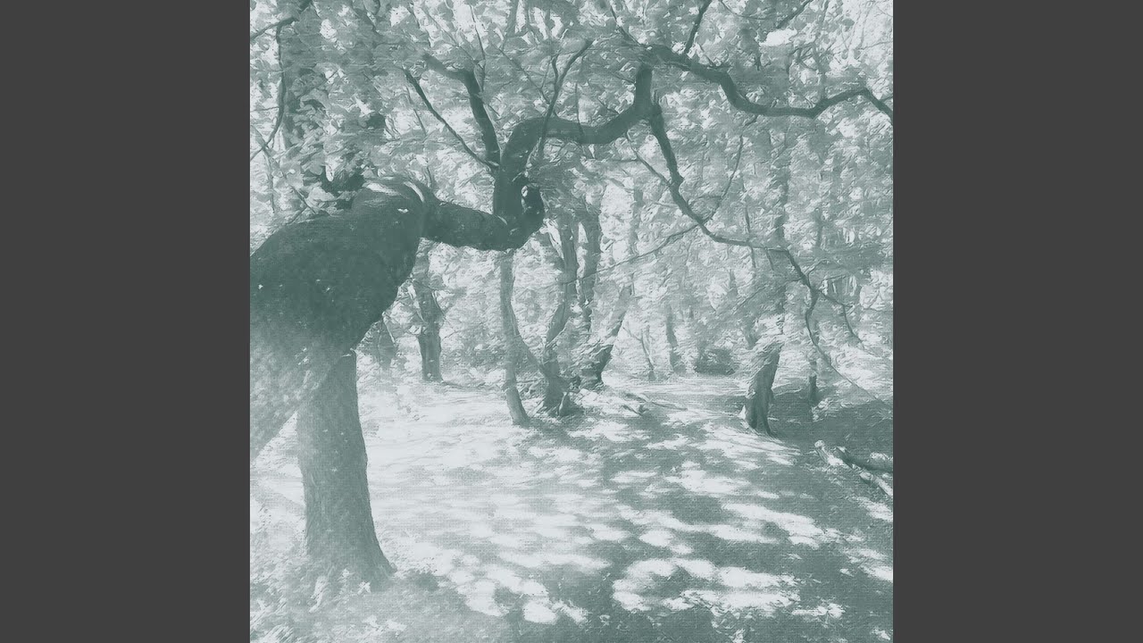 How Many Trees