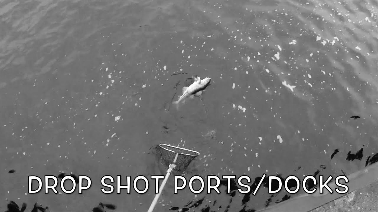 Drop shot fishing ports/docks - GoPro/Water Wolf - Hamnar Torskfiske &Ouml;resund