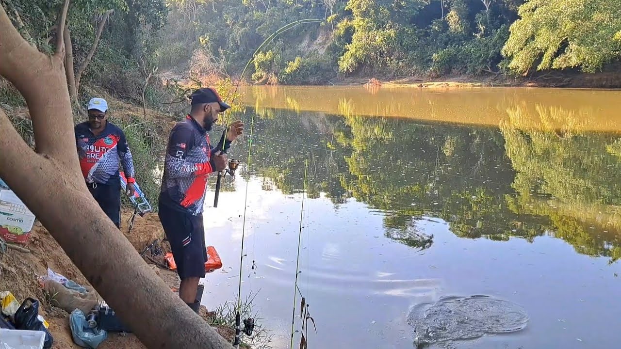 🔥 Pescaria de curimba, carpa e tainha, as gigantes levaram vara e quebraram linha! Que emoção