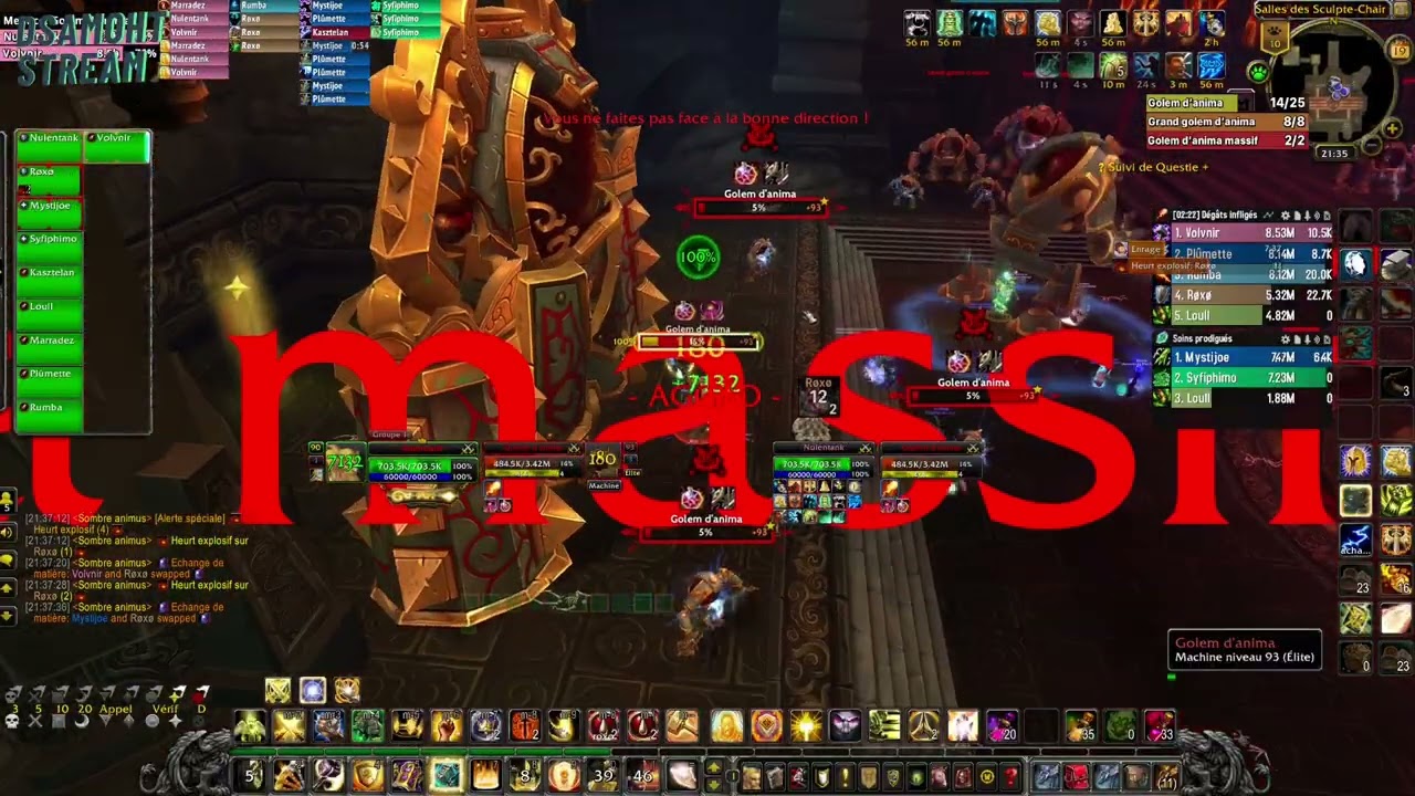 ToT 10NM 9/13 - Servants du Dieu Furbolg - Sombre Animus - WoW MoP remix