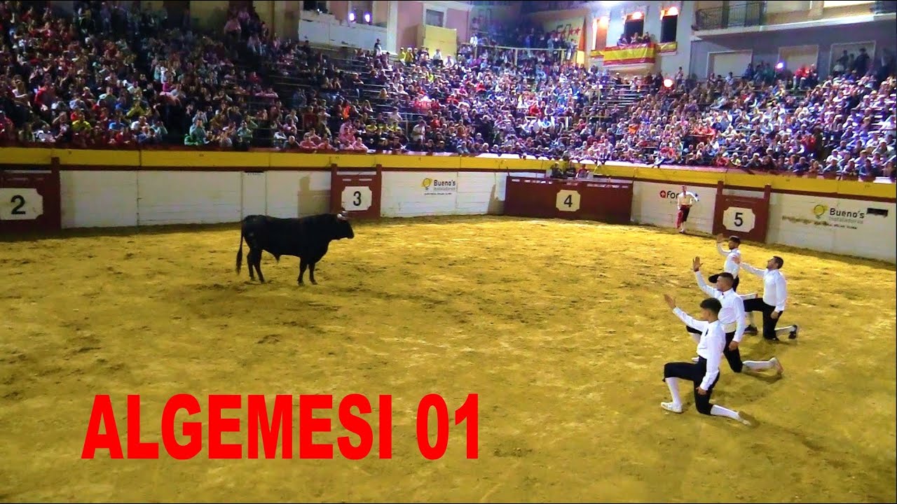 ✅2022 ALGEMESI 01 ◾ CONCURSO de Recortes2