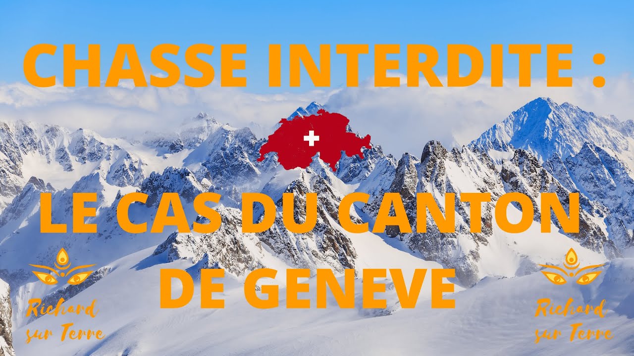 Chasse interdite : Le cas du canton de Genève