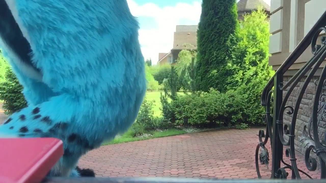 fursuit dance