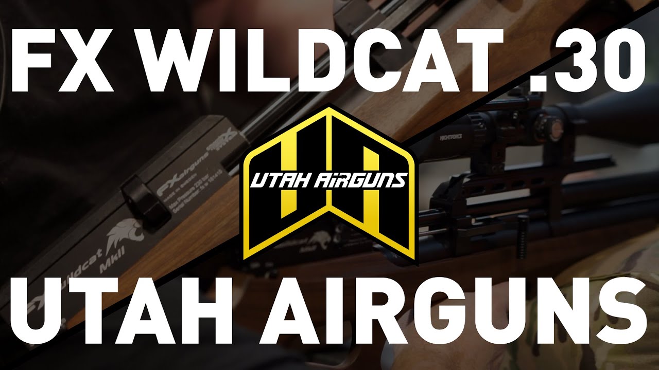 FX Wildcat .30 | Пневматическое оружие Юты