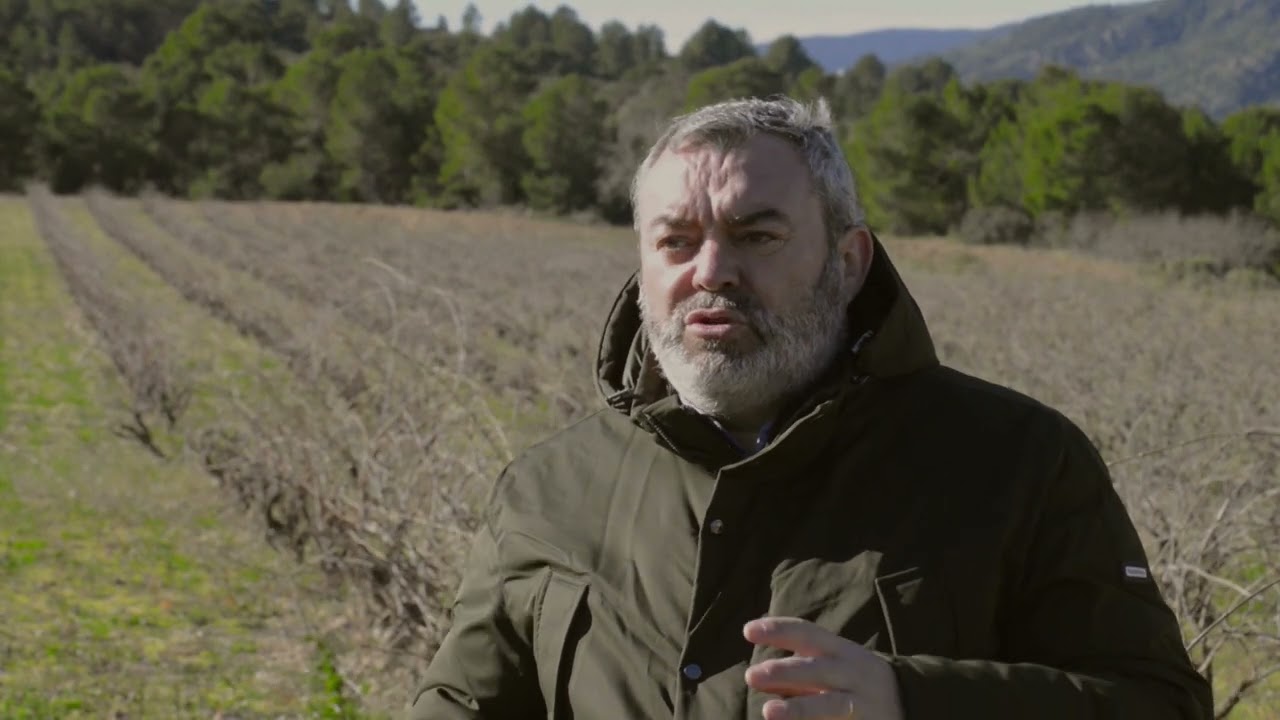 La Cooperativa Sant Pere de Moixent, más de 70 años de pasión por el campo