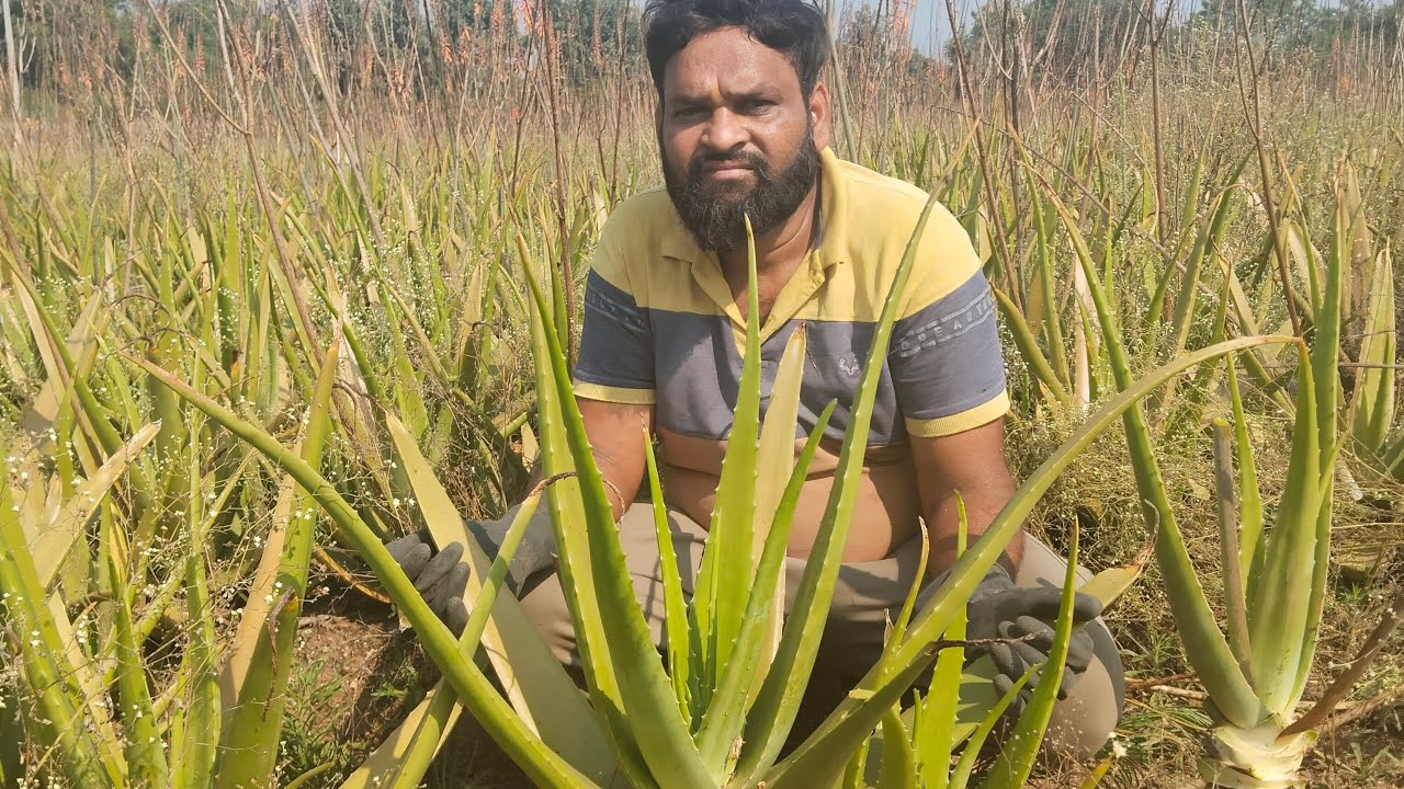 Chaitali Malik is live! जय हरी माऊली 🙏🙏