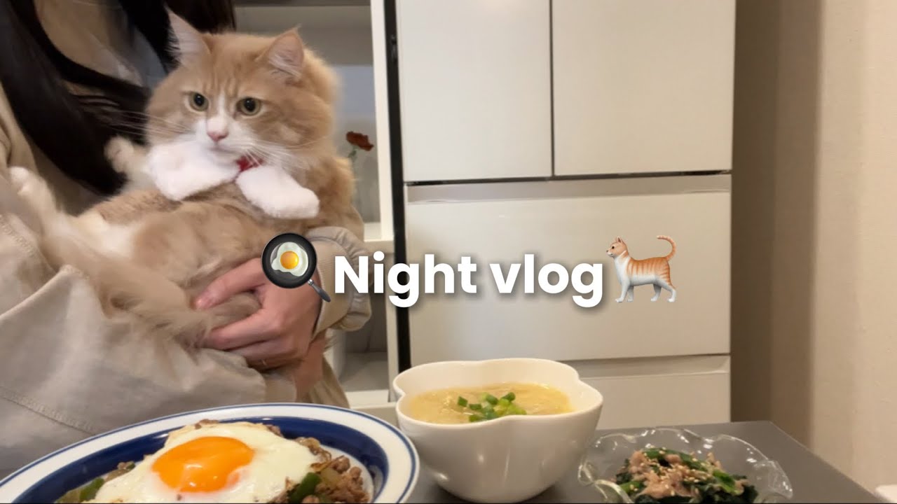 大きなメインクーンと過ごすクリスマス夜Vlog🎄癒しのひととき