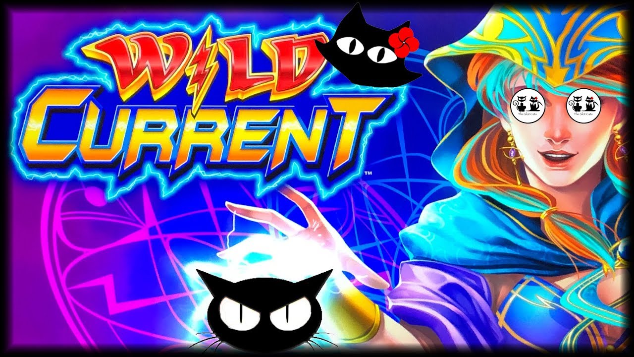 Wild Current ⚡️ Dancing Drums 🕺🏻💃🥁🥁 The Slot Cats 🎰😺😸