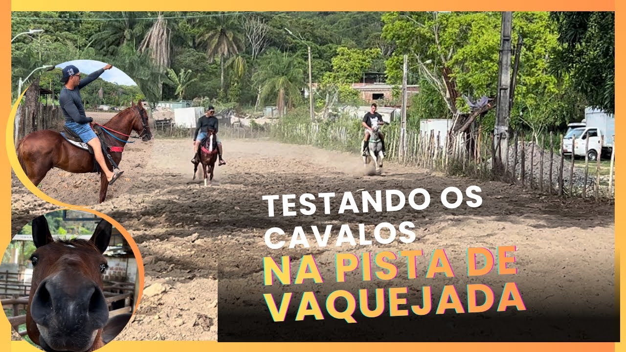 Testando os cavalos na pista de vaquejada!