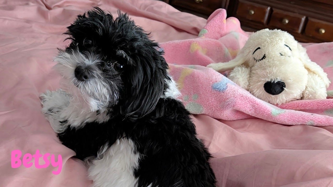 Her reluctant morning routine!😂🥰
