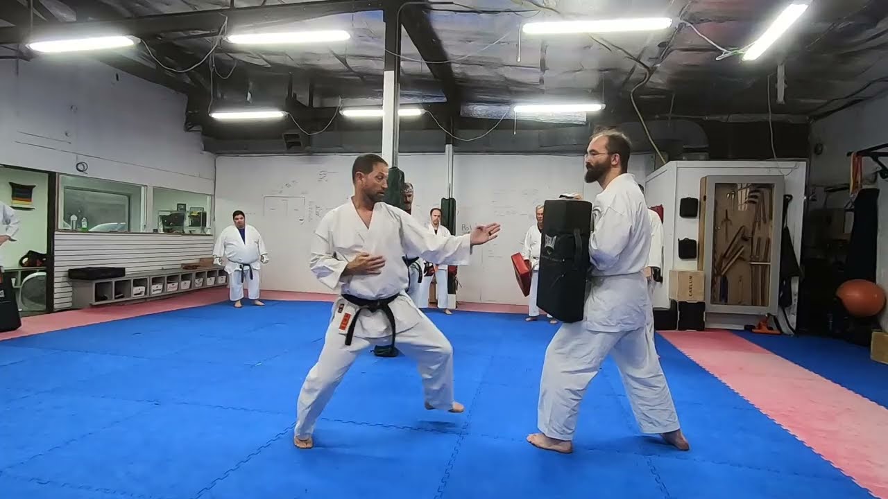 Drive the Power: Shotokan Jab-Reverse Punch Drill for Explosive Forward Movement
