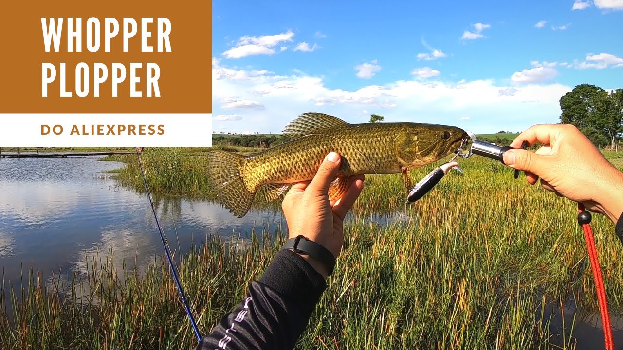 Whopper Plopper do AliExpress chamou as Traíras nessa pescaria!