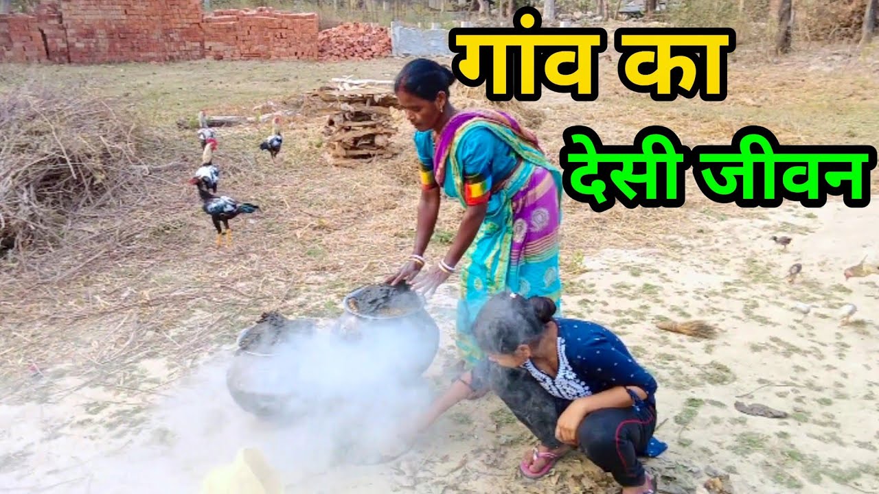 गांव का देसी जीवन 🌾 धान सिझाई, मुर्गा और चूल्हा की कहानी |#villagelifevlogs ||