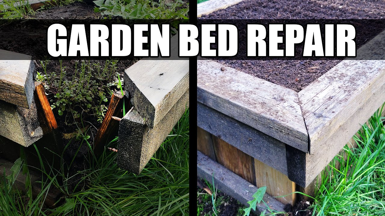 Raised Garden Bed Repair - Garden Quickie Episode 51