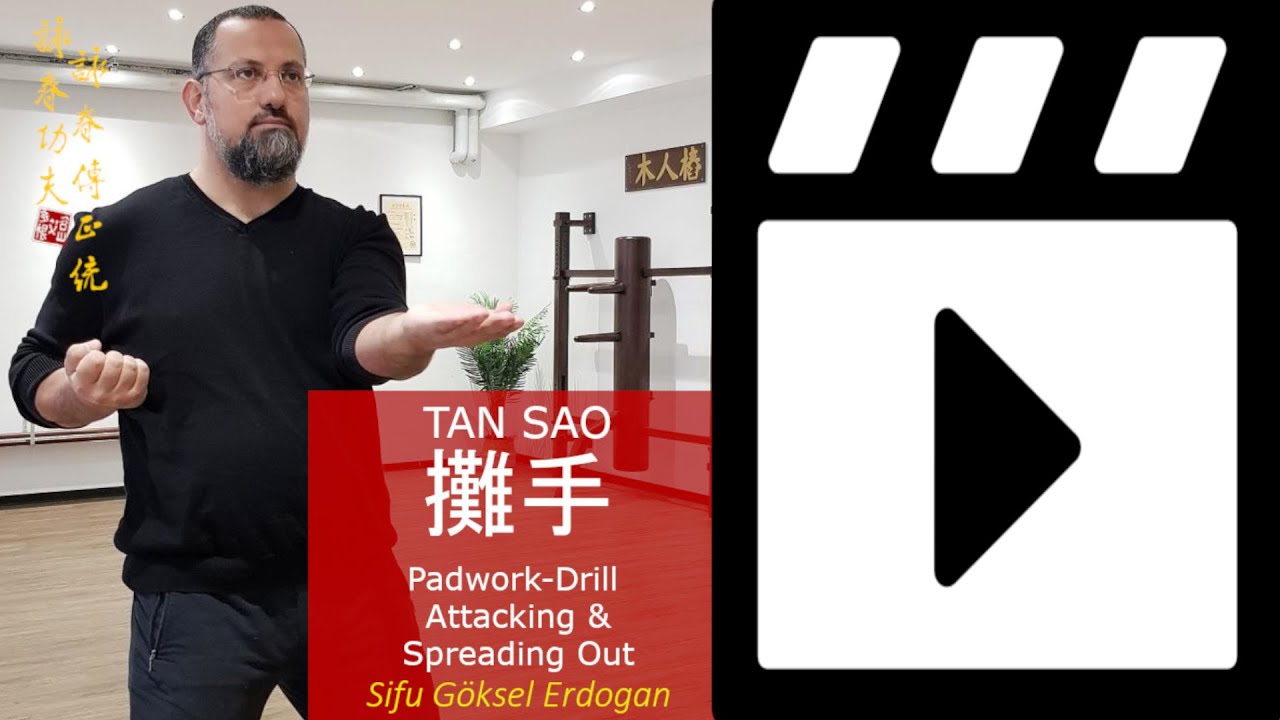 Online video VingTsun (Wing Chun) Tan Sao Training. 