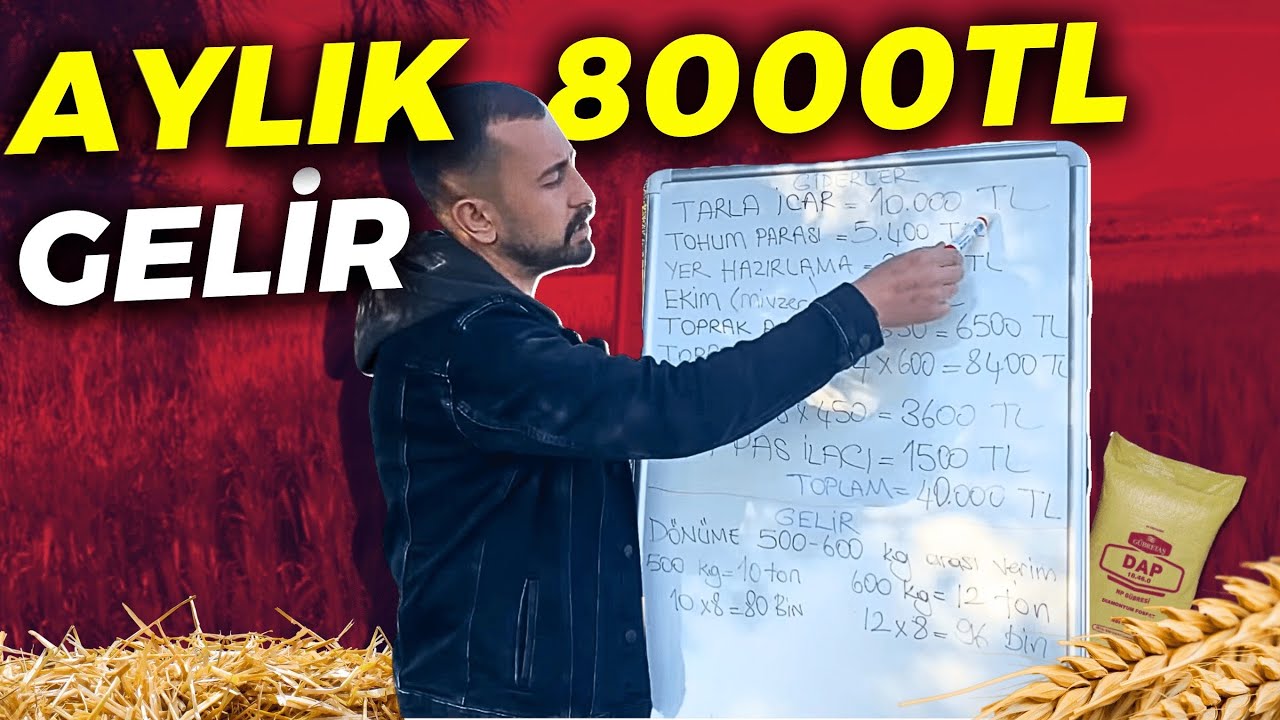 20 DÖNÜM BUĞDAY TARLASI YILDA KAÇ PARA KAZANDIRIR?