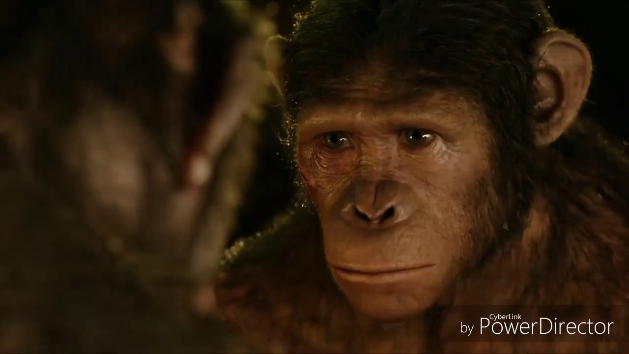 Planet of the apes- sound of silence AMV