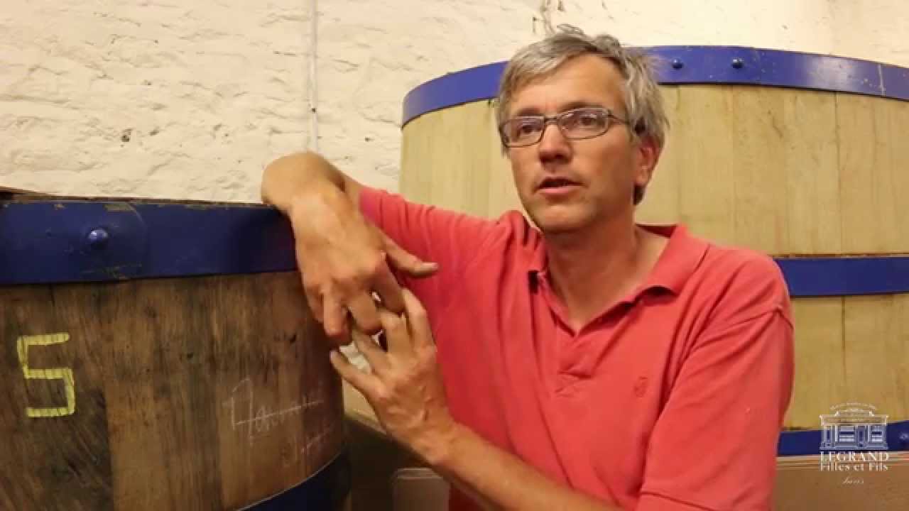 Le vin selon Jean-Yves Bizot / Vosne Romanée - Bourgogne