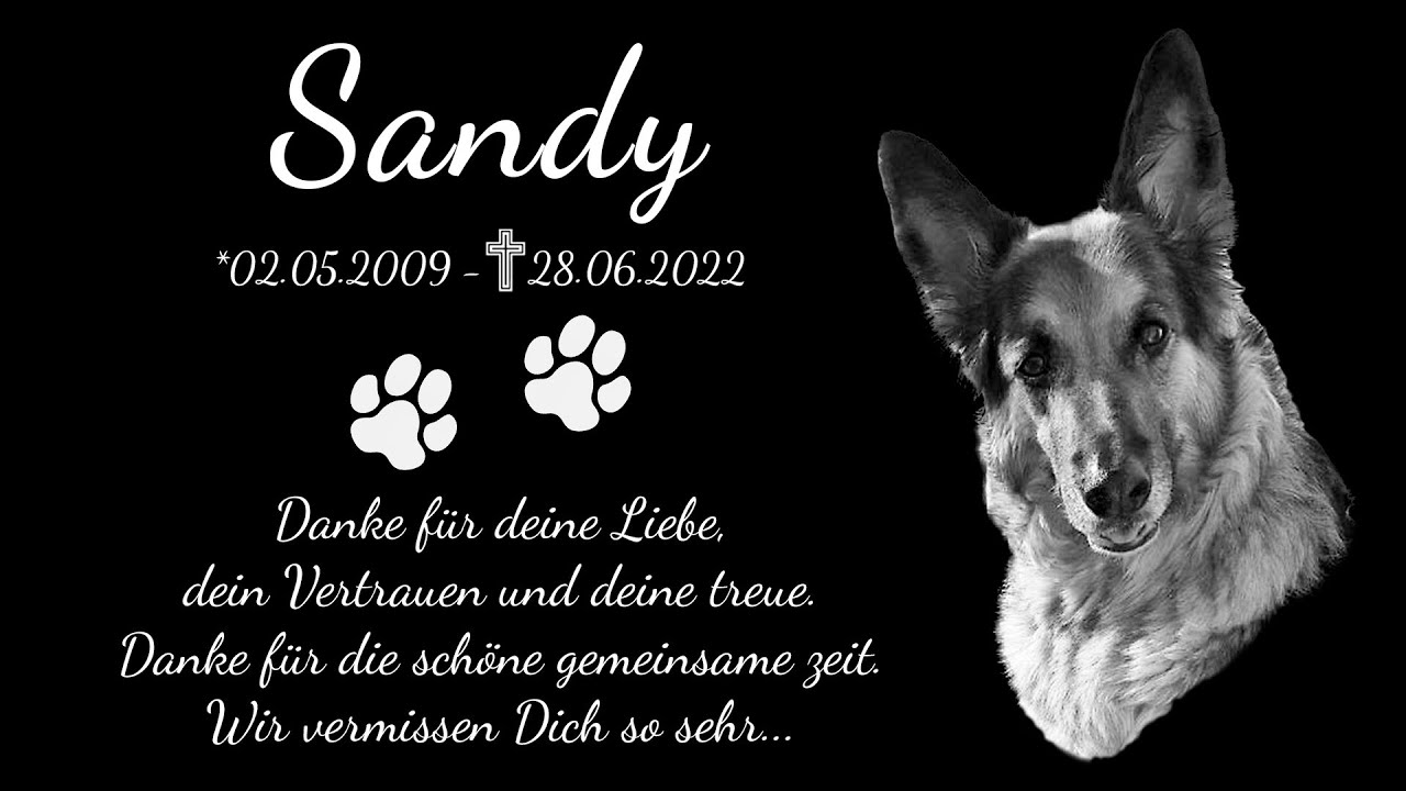 Wir nehmen Abschied von unserm geliebten Hund Sandy