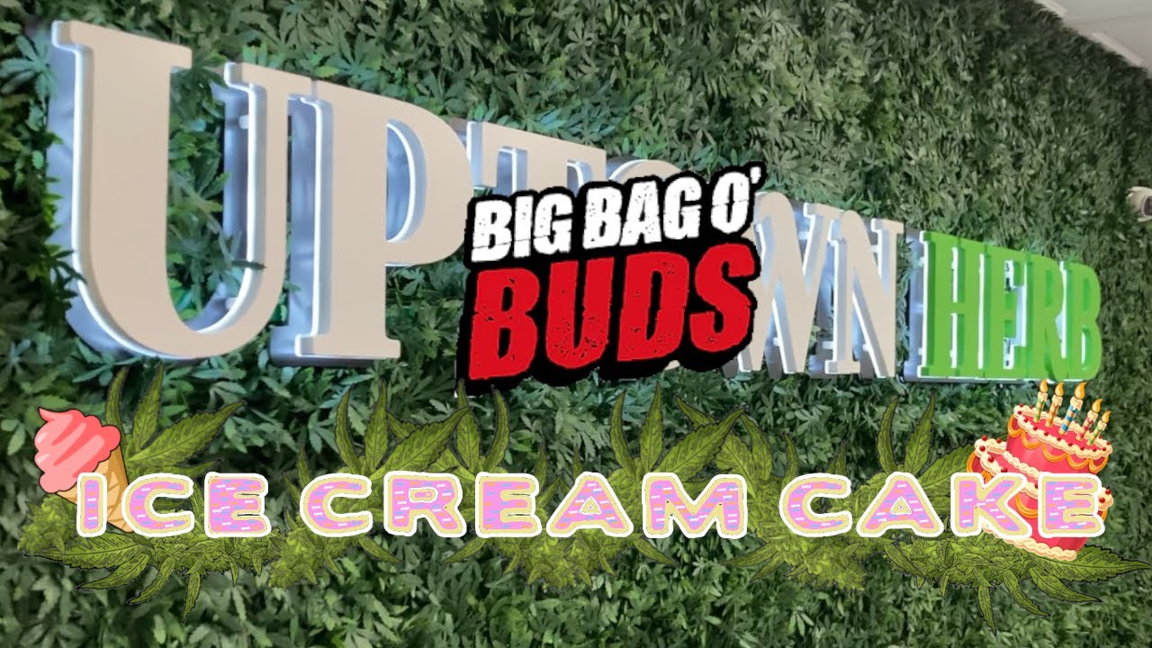 Big Bag O Buds Ice Cream Cake Review!