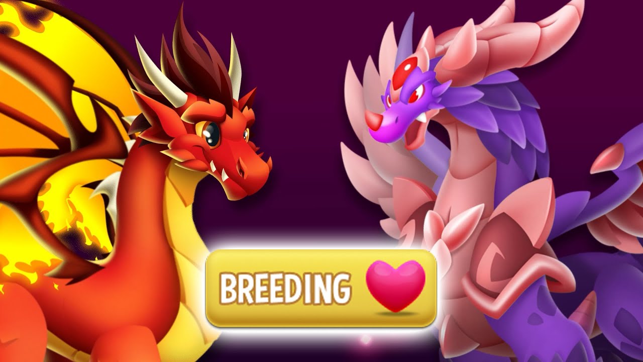 Dragon City -  Discover the new Dragon Sources Update