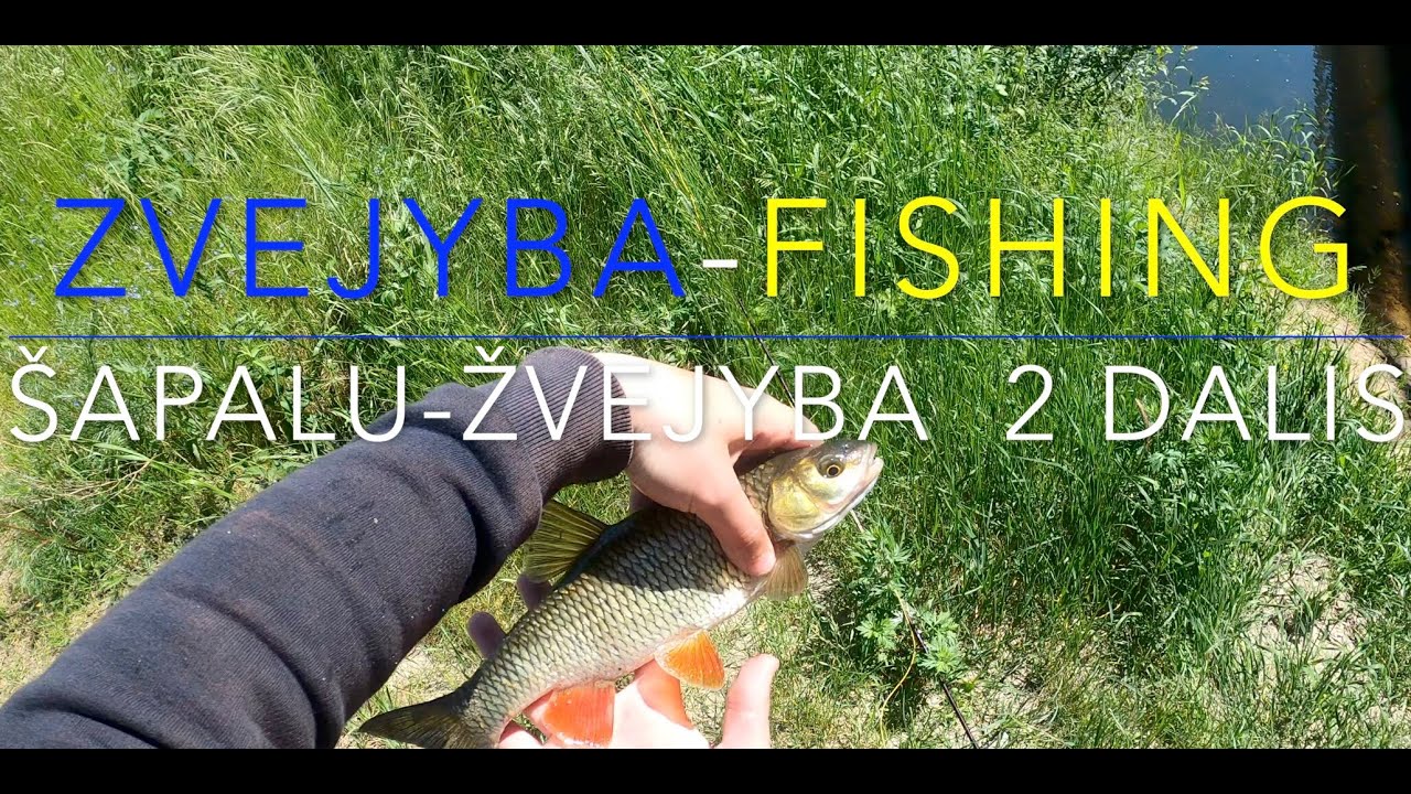 Šapalu žvejyba ant bites- Šyšos upe 2 Dalis 4K