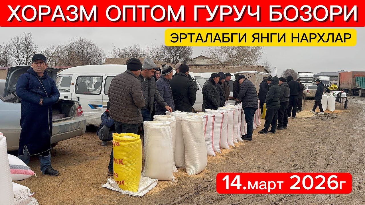ХОРАЗМ ОПТОМ ГУРУЧ БОЗОР НАРХЛАРИ 14-март 2026г