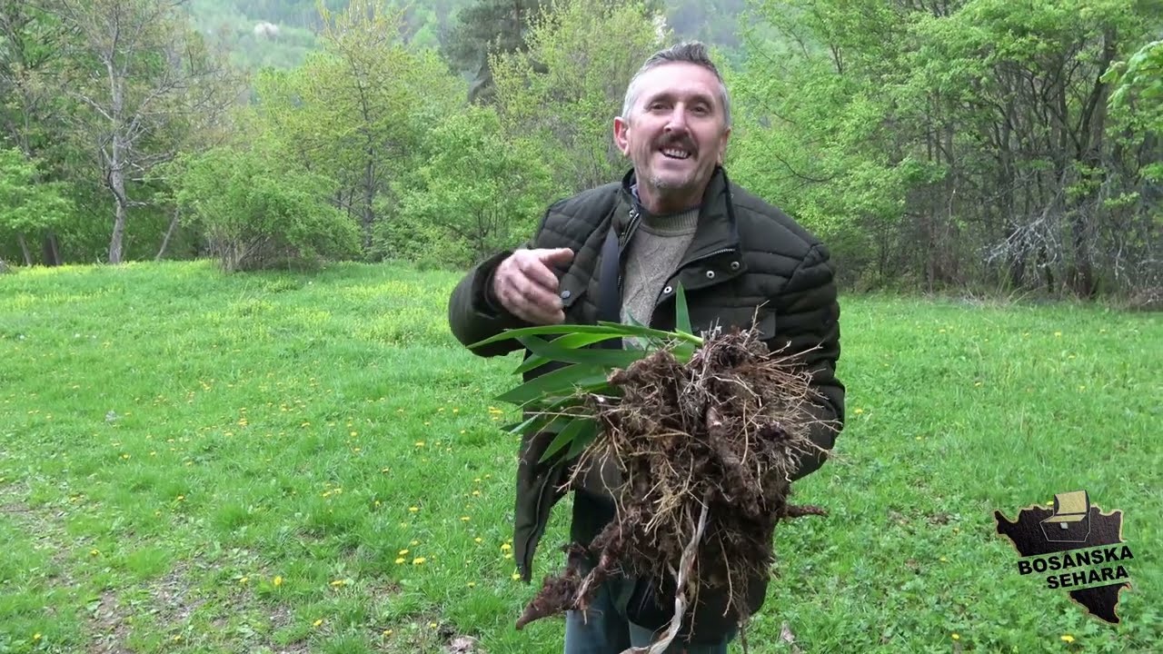 Sad sam musliman,pravoslavne korijene ne zaboravljam-Treći  dio