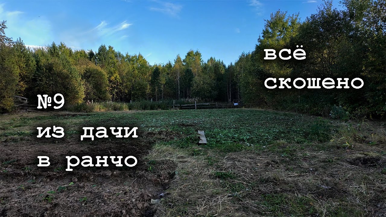 №9 Воруем яблоки на соседнем участке и варим варенье, косим и забиваем овраг на заброшенной даче