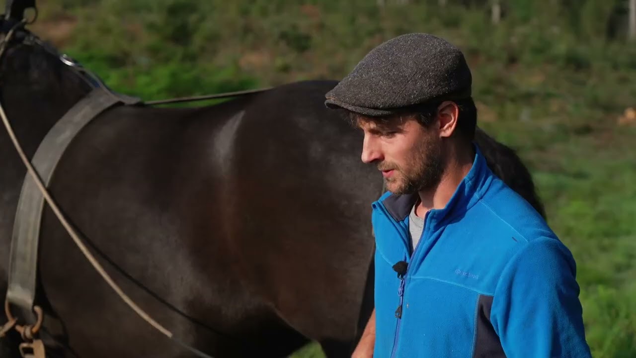 capsule 8 DEBARDAGE AVEC CHEVAUX