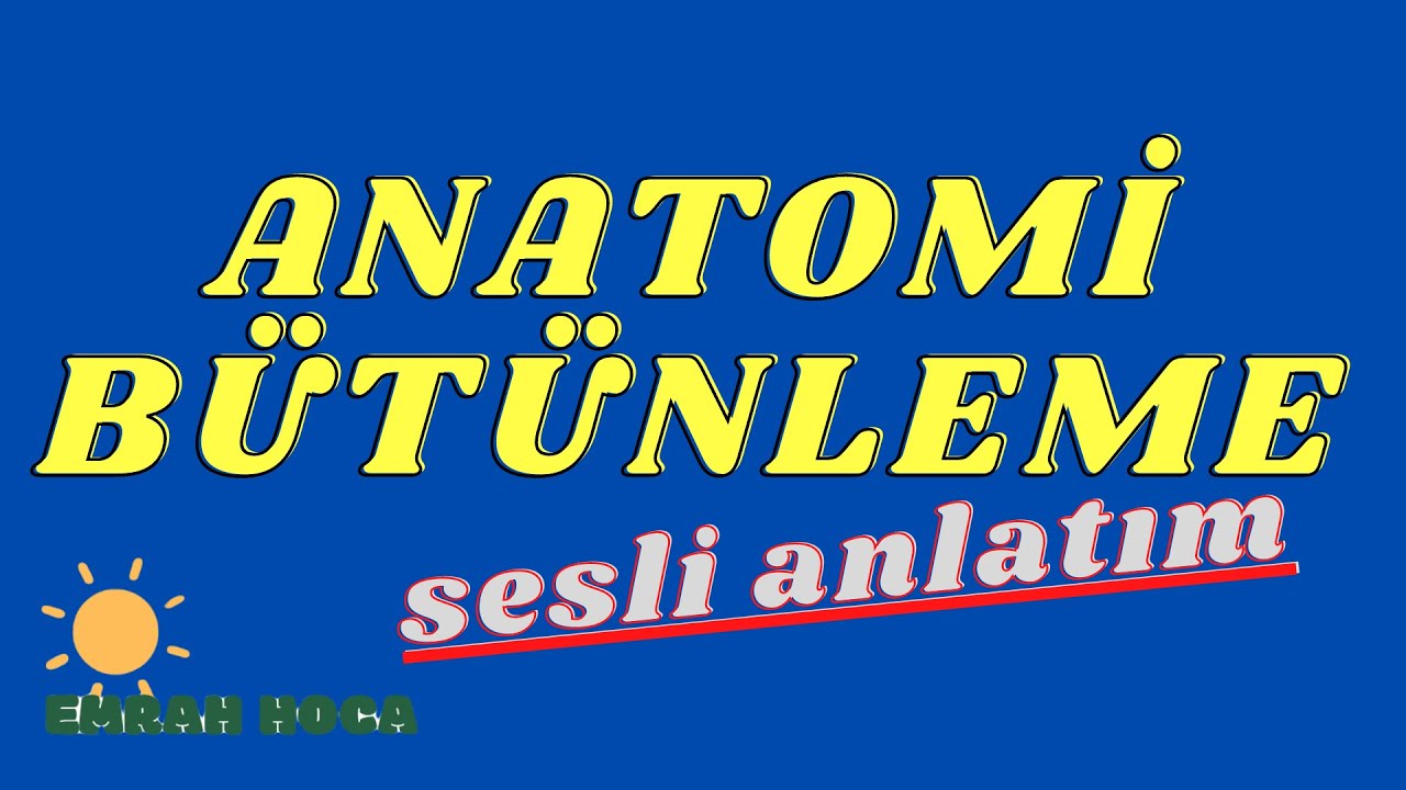 ANATOMİ BÜTÜNLEME SORULARI #auzef #emrahhocaauzef