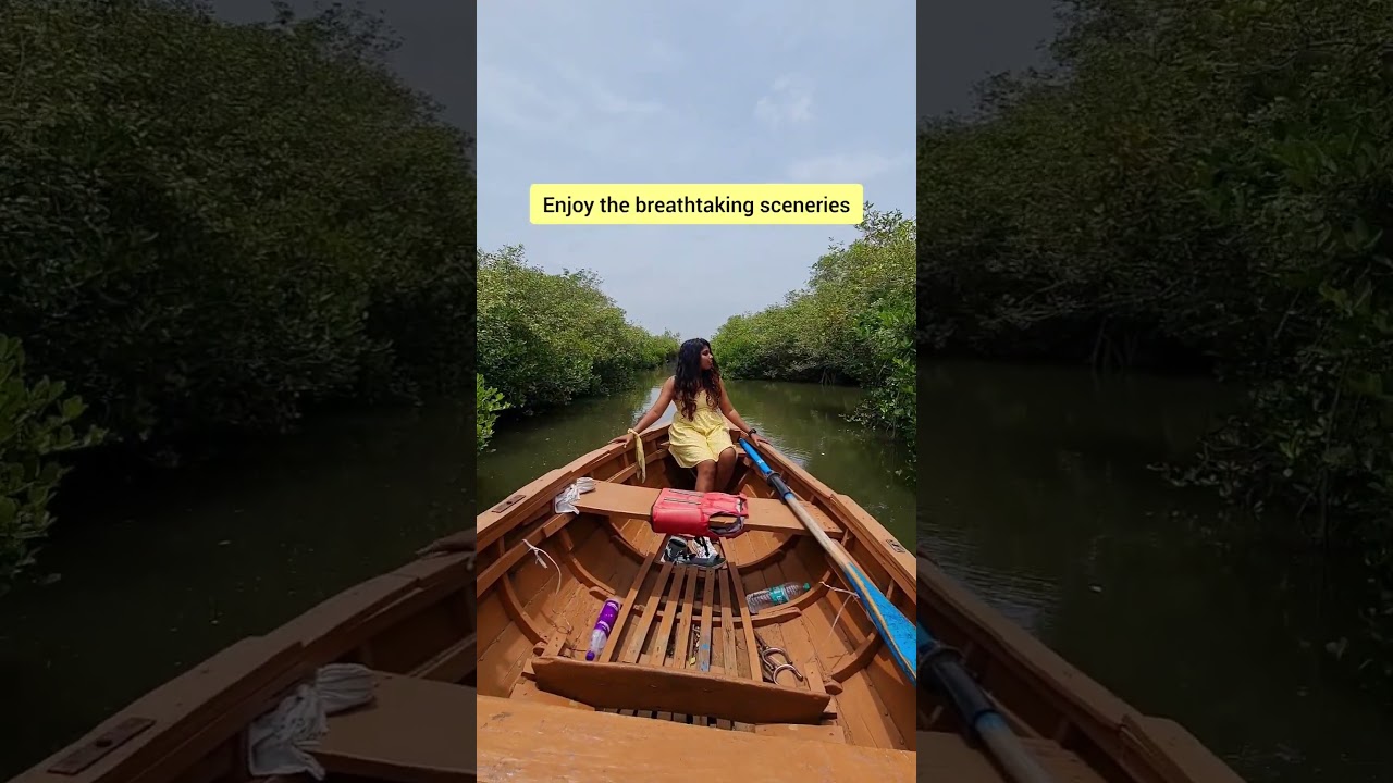 pichavaram mangrove forest #pondicherry #mangrove #pichavaram