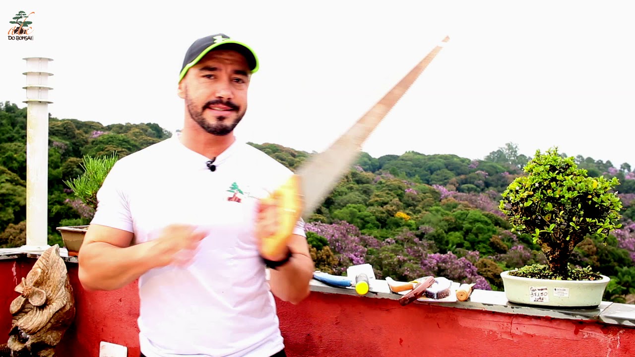 SERROTES QUE EU USO PARA FAZER BONSAI