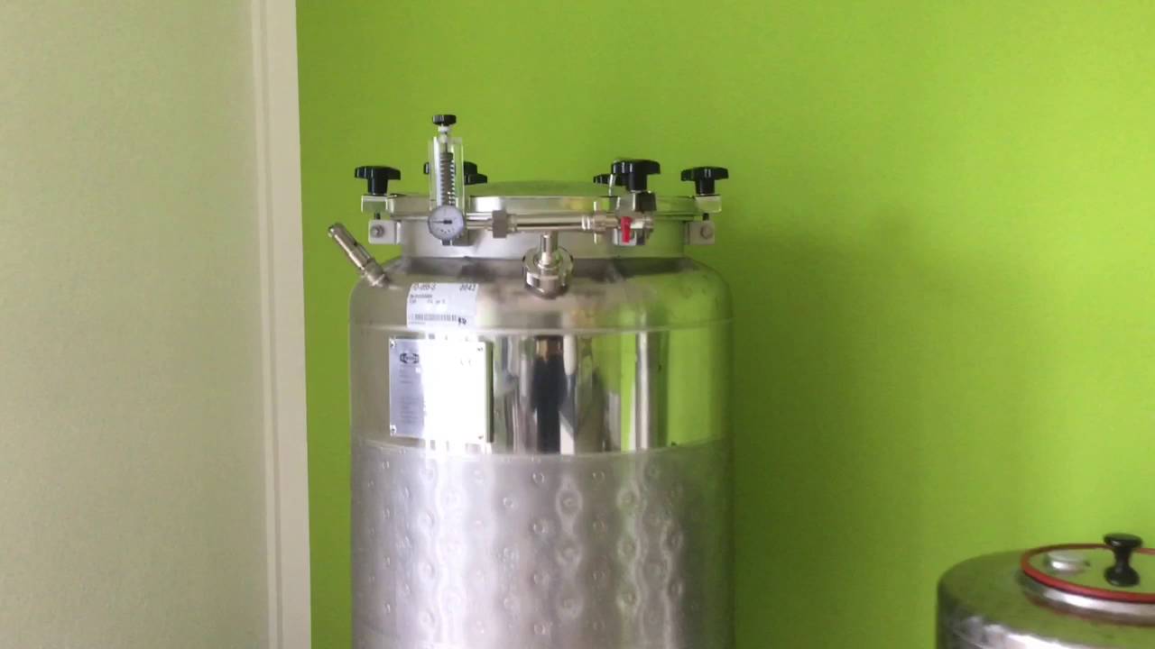 Speidels Braumeister - ZKG Bierdrucktank 240l - Conical pressure tank 240l